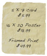 5 X 7 card
$5.99

16 X 20 Poster
$18.99

Framed Print
$49.99




